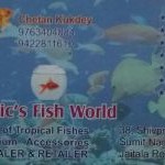 Aquatic Fish World