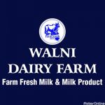 Walni Dairy Farm