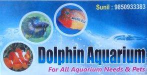 Dolphin Aquarium