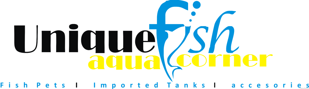 Unique Aqua Fish Corner