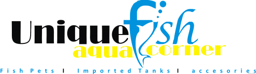 Unique Aqua Fish Corner