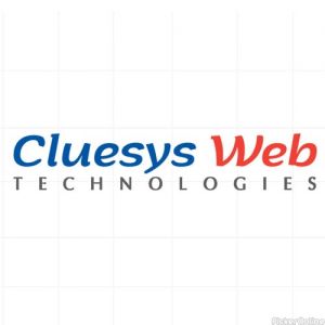Cluesys Web Technologies