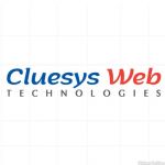 Cluesys Web Technologies