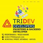 TRIDEV DEVELOPERS