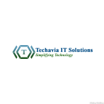 Techavia IT Solutions