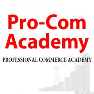 Professional Commerce Academy