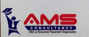 Ams Consultancy