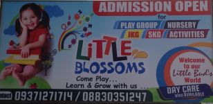Little Blossoms Play Group