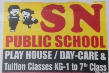 S N Public School