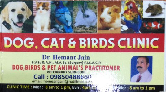 Dog, Cat & Bird Clinic