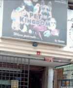 Pet kingdom