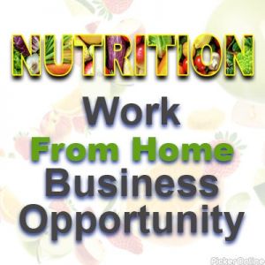Work From Home Business Opportunity