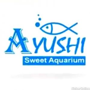 Ayushi Sweet Aquarium