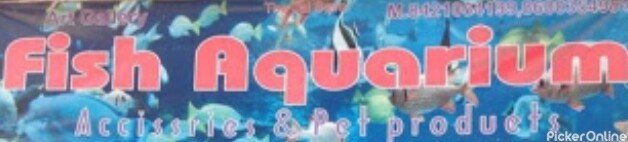Fish Aquarium