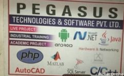 Pegasus Technologies & Software Pvt Ltd