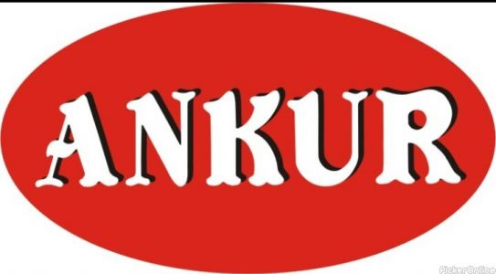 Ankur Enterprises