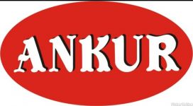 Ankur Enterprises