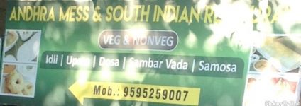 Andhra Mess And South Indian Restaurant