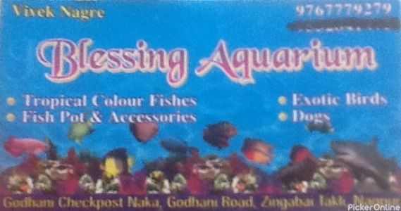 Blessing Aquarium