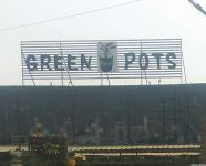 Green Pots Plant Nursery