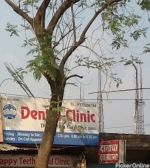 Gajbhiye S. Dental Clinic