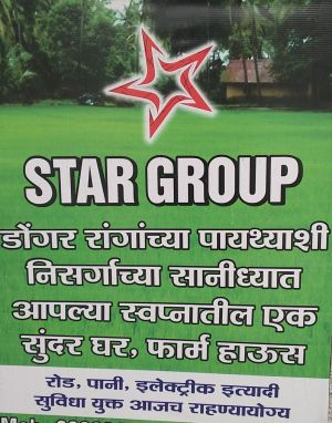 Star Group