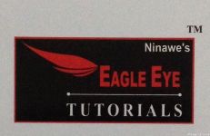 Eagle Eye Tutorials