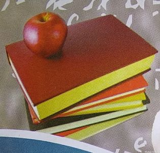 Classmate academy of Sciences & Technology