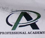 Professional Academy