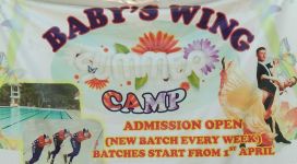 Baby Wings Pre School