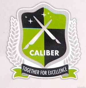 X-Caliber Coaching Classes