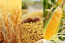 Anand Agro Agencies