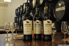 Amar Wine Shop