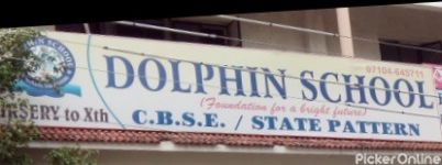 Dolphin School