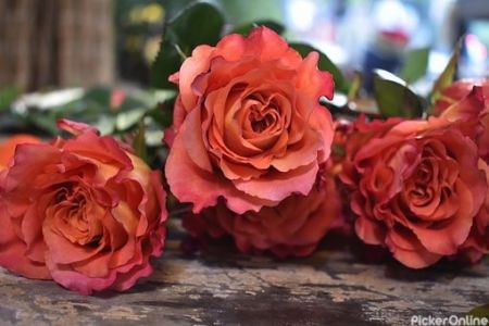 Sagar Flower Stall