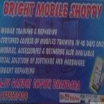 Bright Mobile Shoppy
