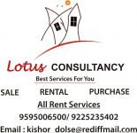 Lotus Consultancy