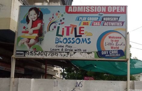 Little Blossoms & Play School