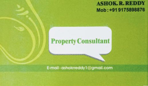 Property Consultant