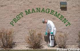 Elite Pest Management