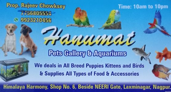 Hanumat Pets Gallery & Aquariums