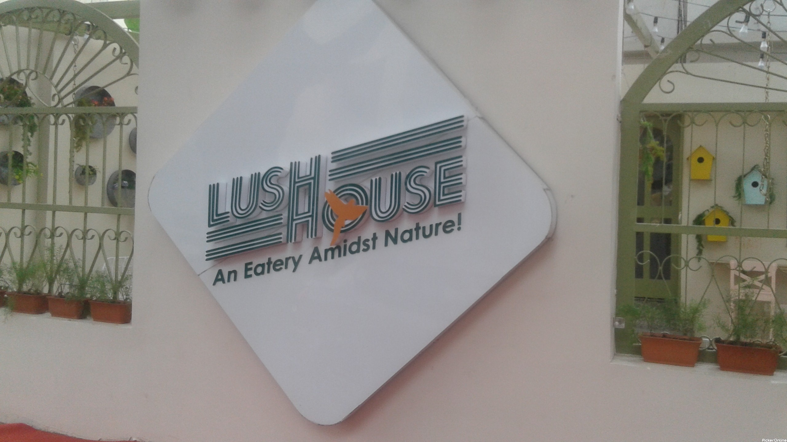 Lush House Restaurant in Bajaj Nagar, Nagpur Picker Online