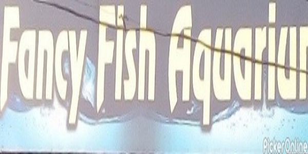 Asif S. Fancy Fish Aquarium