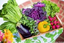 Poona Vegetables Suppliers