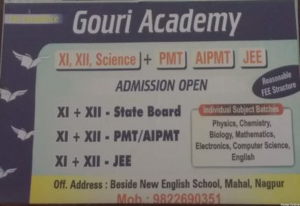 Gouri Academy