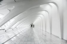 Aum Architects