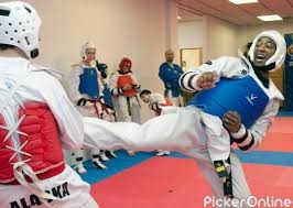 Sanjays Taekwondo Academy
