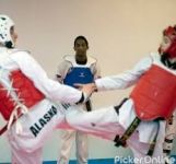 Knockout Karate Classes