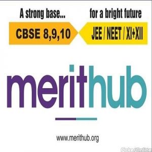 Merit Hub