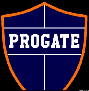 Proget Academy